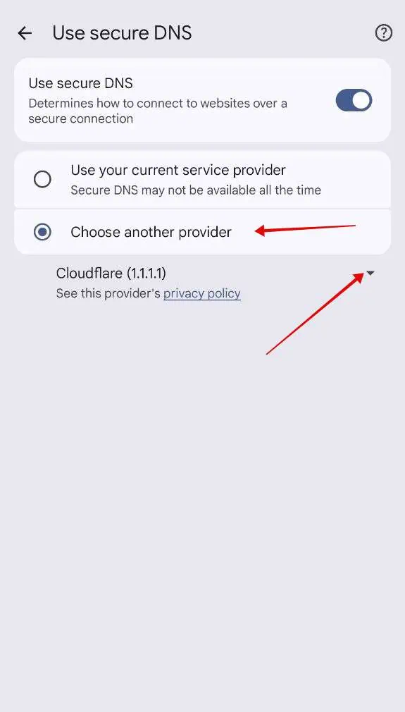 Choose Cloudflare DNS provider